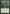Scaled Wurm [Conspiracy] - Magic: The Gathering - Card Brawlers | Quebec | Canada |