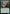 Elvish Rejuvenator [Game Night: Free-for-All] - Magic: The Gathering - Card Brawlers | Quebec | Canada |