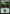 Forest (273) [Core Set 2021] - Magic: The Gathering - Card Brawlers | Quebec | Canada |