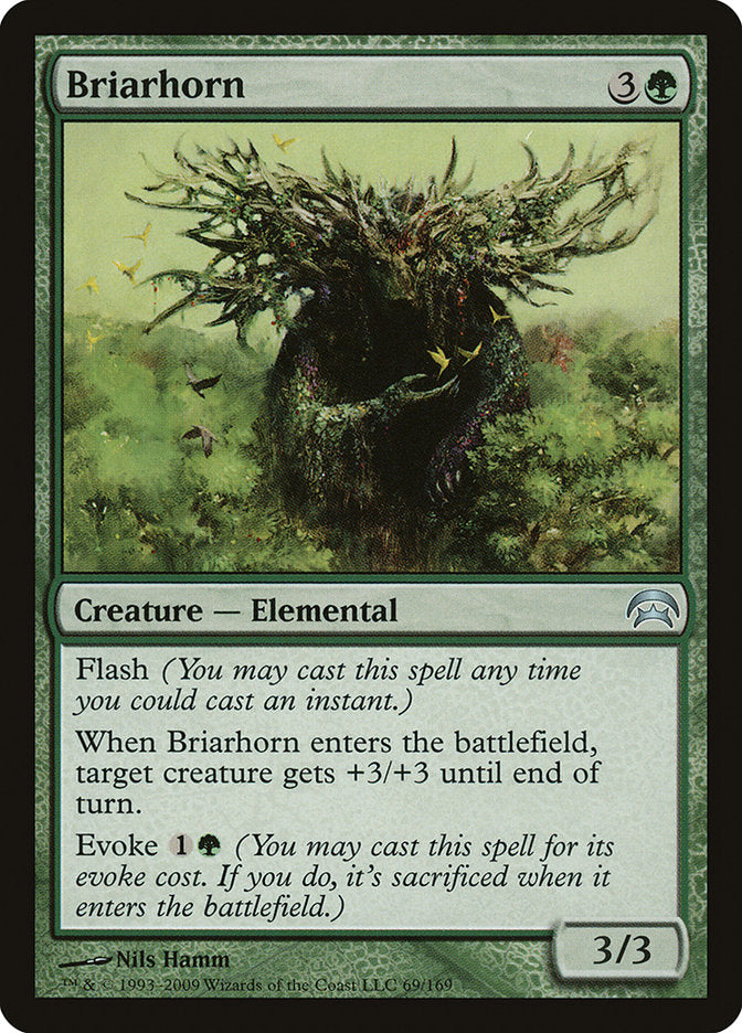 Briarhorn [Planechase] - Magic: The Gathering - Card Brawlers | Quebec | Canada |