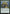 Wakeroot Elemental (Promo Pack) [Core Set 2020 Promos] - Magic: The Gathering - Card Brawlers | Quebec | Canada |
