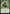 Witherbloom Command [Strixhaven: School of Mages Prerelease Promos] - Magic: The Gathering - Card Brawlers | Quebec | Canada |