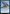 Dragonstorm Forecaster [Tarkir: Dragonstorm] - Magic: The Gathering - Card Brawlers | Quebec | Canada |