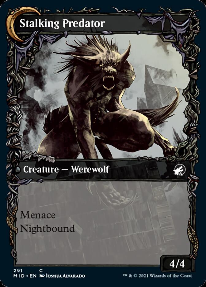 Shady Traveler // Stalking Predator (Showcase Equinox) [Innistrad: Midnight Hunt] - Magic: The Gathering - Card Brawlers | Quebec | Canada |