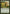 Farseek [Magic 2013] - Magic: The Gathering - Card Brawlers | Quebec | Canada |