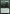 Thorn Lieutenant (Promo Pack) [Core Set 2019 Promos] - Magic: The Gathering - Card Brawlers | Quebec | Canada |