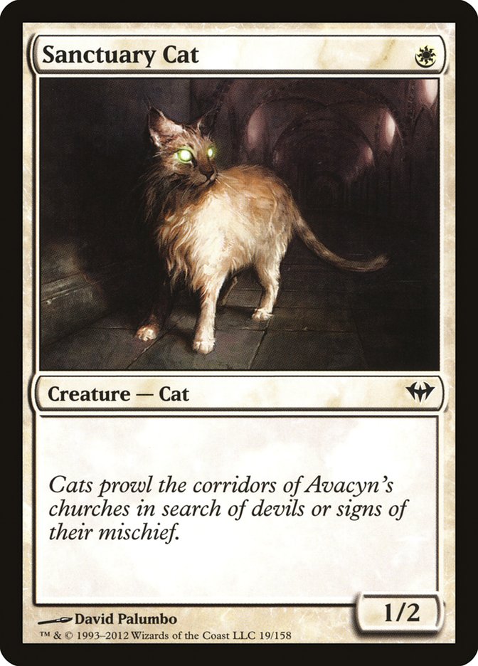 Sanctuary Cat [Dark Ascension] - Magic: The Gathering - Card Brawlers | Quebec | Canada |