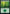 Forest (136) [Game Night: Free-for-All] - Magic: The Gathering - Card Brawlers | Quebec | Canada |