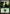 Forest (80) [Duel Decks: Heroes vs. Monsters] - Magic: The Gathering - Card Brawlers | Quebec | Canada |