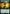 Dragonsguard Elite (Extended Art) [Strixhaven: School of Mages] - Magic: The Gathering - Card Brawlers | Quebec | Canada |