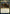 Thalia and The Gitrog Monster [March of the Machine] - Magic: The Gathering - Card Brawlers | Quebec | Canada |