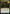 Grim Contest [Fate Reforged] - Magic: The Gathering - Card Brawlers | Quebec | Canada |