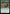 Season of Gathering [Bloomburrow] - Magic: The Gathering - Card Brawlers | Quebec | Canada |