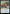 Master's Guide-Mural // Master's Manufactory [The Lost Caverns of Ixalan] - Magic: The Gathering - Card Brawlers | Quebec | Canada |
