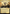 Condemn (Showcase) [Foundations Special Guests] - Card Brawlers