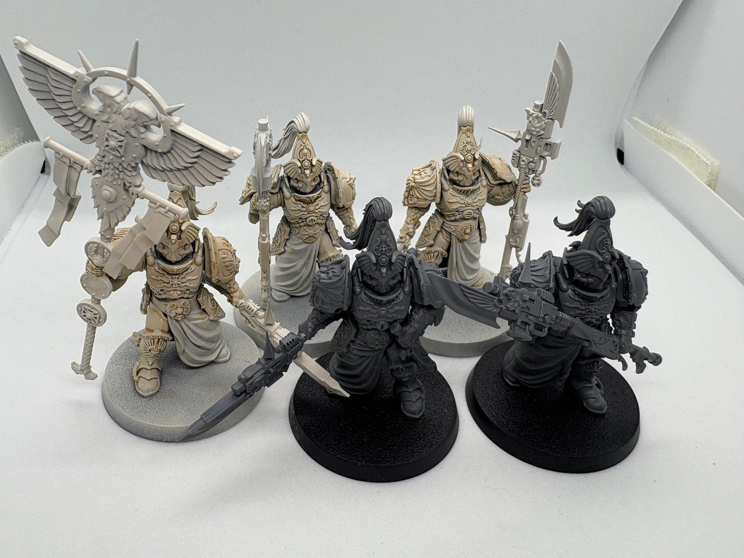 Custodian Wardens (USED) - Card Brawlers
