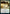 Harness Infinity [Strixhaven: School of Mages] - Magic: The Gathering - Card Brawlers | Quebec | Canada |