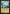 Sylvan Scrying (Timeshifted) [Time Spiral Remastered] - Magic: The Gathering - Card Brawlers | Quebec | Canada |