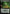 Green Slime (Extended Art) [Commander Legends: Battle for Baldur's Gate] - Magic: The Gathering - Card Brawlers | Quebec | Canada |