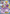 Hoopa EX (XY85) (Collection Promo) [XY: Black Star Promos] - Pokémon - Card Brawlers | Quebec | Canada |