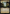 Search for Azcanta // Azcanta, the Sunken Ruin [Secret Lair: From Cute to Brute] - Magic: The Gathering - Card Brawlers | Quebec | Canada |