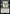 Photo Op [Unfinity] - Magic: The Gathering - Card Brawlers | Quebec | Canada |