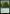 Abundant Growth [Innistrad Remastered] - Magic: The Gathering - Card Brawlers | Quebec | Canada |