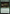 Fecund Greenshell [Bloomburrow] - Magic: The Gathering - Card Brawlers | Quebec | Canada |