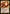 Rakdos Charm (Timeshifted) [Time Spiral Remastered] - Magic: The Gathering - Card Brawlers | Quebec | Canada |