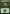 Forest (266) [Magic 2015] - Magic: The Gathering - Card Brawlers | Quebec | Canada |