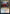 Culmination of Studies (Promo Pack) [Strixhaven: School of Mages Promos] - Magic: The Gathering - Card Brawlers | Quebec | Canada |