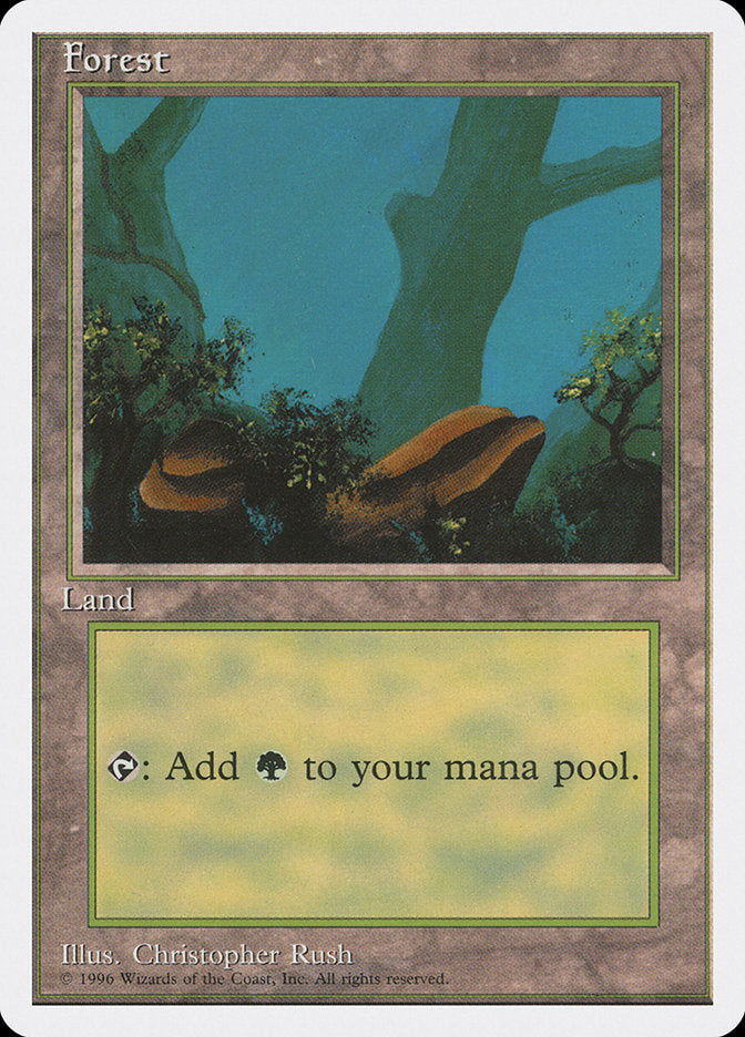 Forest (Two Boulders) [Introductory Two-Player Set] - Magic: The Gathering - Card Brawlers | Quebec | Canada |