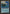 Island [Arena League 1999] - Magic: The Gathering - Card Brawlers | Quebec | Canada |