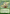 Scrapshooter (Showcase) [Bloomburrow] - Magic: The Gathering - Card Brawlers | Quebec | Canada |