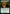 Containment Breach [Strixhaven: School of Mages] - Magic: The Gathering - Card Brawlers | Quebec | Canada |
