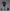 Orange Rouge - Nendoroid - Doll Ciel Phantomhive - (PREORDER) March 15, 2027
