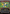 Vandalblast (Borderless) [Fallout] - Magic: The Gathering - Card Brawlers | Quebec | Canada |