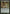 Elvish Harbinger [Lorwyn] - Magic: The Gathering - Card Brawlers | Quebec | Canada |