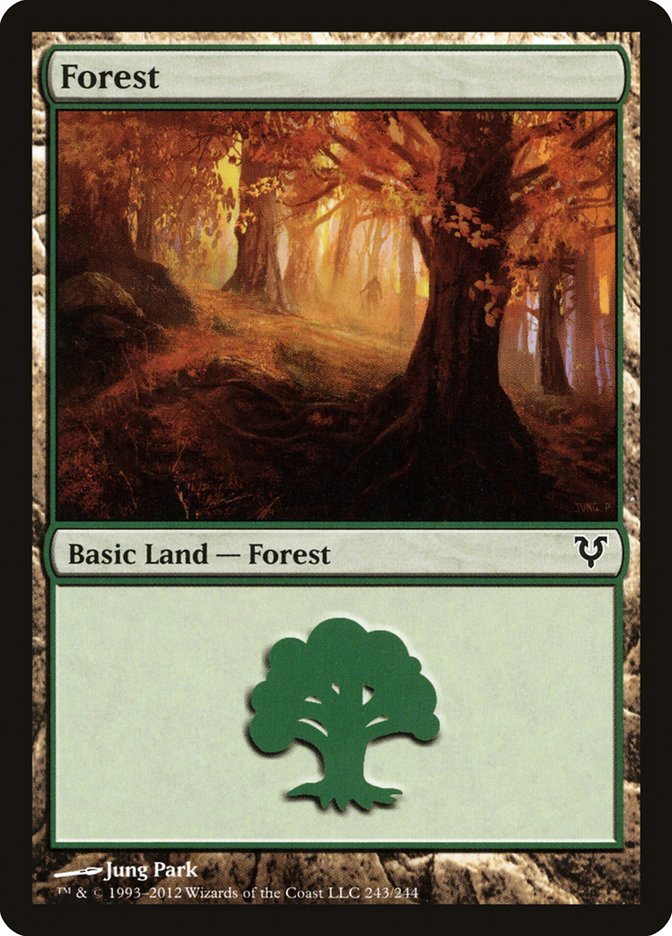 Forest (243) [Avacyn Restored] - Magic: The Gathering - Card Brawlers | Quebec | Canada |