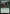 Obsessive Skinner [Duskmourn: House of Horror Commander] - Magic: The Gathering - Card Brawlers | Quebec | Canada |