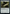 Trusty Machete [Game Night: Free-for-All] - Magic: The Gathering - Card Brawlers | Quebec | Canada |