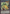 Gladiator Beast Essedarii (Green) [DL18-EN010] Rare - Yu-Gi-Oh! - Card Brawlers | Quebec | Canada |