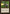Null Rod [Weatherlight] - Magic: The Gathering - Card Brawlers | Quebec | Canada |