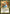 Boris Devilboon [Legends] - Magic: The Gathering - Card Brawlers | Quebec | Canada |