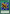 The Flute of Summoning Dragon (Blue) [DL17-EN013] Rare - Yu-Gi-Oh! - Card Brawlers | Quebec | Canada |