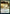 Harness Infinity [Strixhaven: School of Mages Prerelease Promos] - Magic: The Gathering - Card Brawlers | Quebec | Canada |