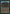 Wall of Wood [Beta Edition] - Magic: The Gathering - Card Brawlers | Quebec | Canada |