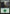 Forest (302) [Commander 2019] - Magic: The Gathering - Card Brawlers | Quebec | Canada |