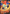 Victini V (SWSH104) [Sword & Shield: Black Star Promos] - Pokémon - Card Brawlers | Quebec | Canada |