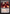 Ob Nixilis Reignited [Duskmourn: House of Horror Commander] - Magic: The Gathering - Card Brawlers | Quebec | Canada |